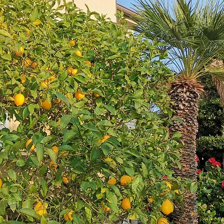 With Parking Space - Rab - 24156 Апартаменты