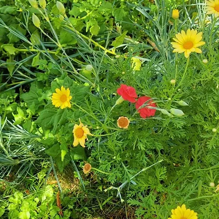 With Parking Space - Rab - 24156